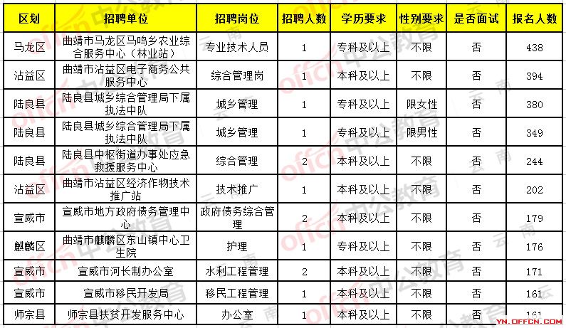 宁洱哈尼族彝族自治县数据和政务服务局招聘公告解析