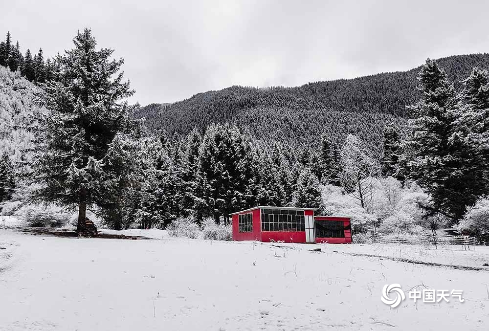 朗玛雪村最新天气预报详解